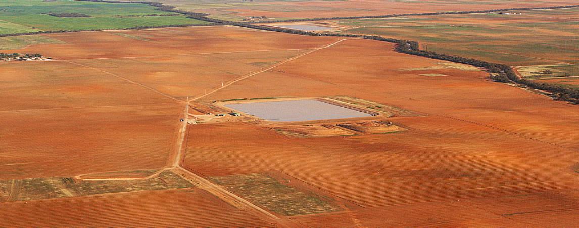 Timbercorp/Olam Projects