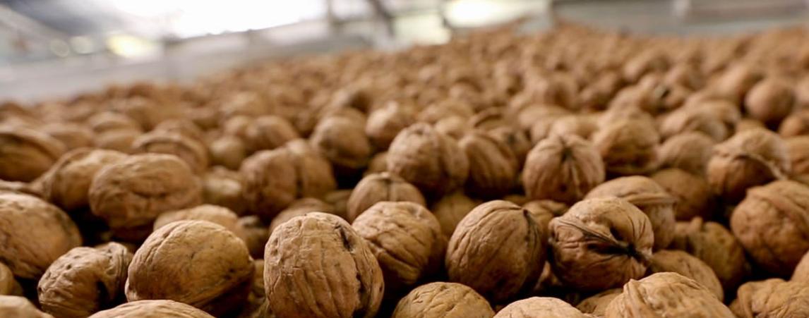 Websters - Avondale West Walnuts