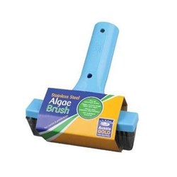 Aussie Gold Algae Brush Stainless Steel 6"