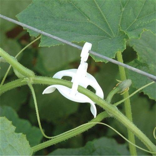 Paskal Radial Hook Complete White - Per Box of 2000