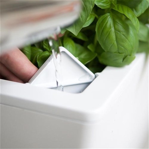 Glowpear Urban Garden Self Watering Rail Planter