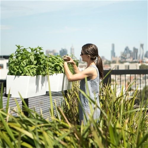 Glowpear Urban Garden Self Watering Rail Planter