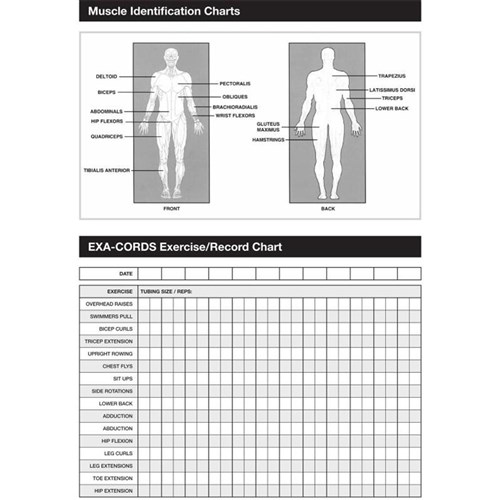 Eyeline Exa-Cords Dryland Training Modular Set